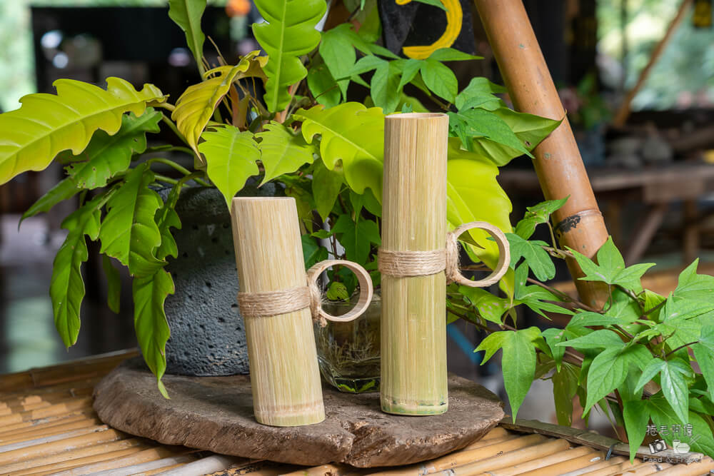 達娜伊谷,達娜伊谷風景區,達娜伊谷阿里山,阿里山景點,嘉義景點推薦,阿里山部落旅遊,嘉義旅遊景點,阿里山一日遊,嘉義自然景點,達娜伊谷生態園區