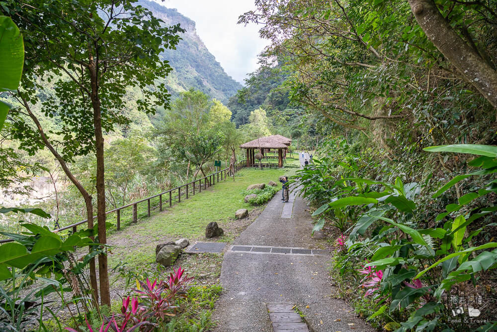 達娜伊谷,達娜伊谷風景區,達娜伊谷阿里山,阿里山景點,嘉義景點推薦,阿里山部落旅遊,嘉義旅遊景點,阿里山一日遊,嘉義自然景點,達娜伊谷生態園區