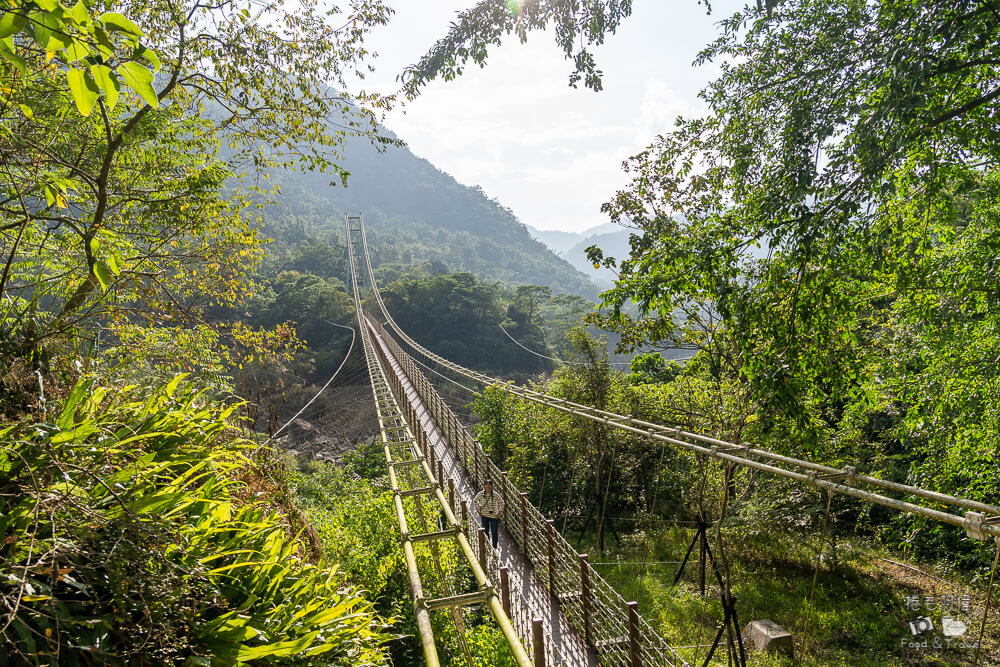 達娜伊谷,達娜伊谷風景區,達娜伊谷阿里山,阿里山景點,嘉義景點推薦,阿里山部落旅遊,嘉義旅遊景點,阿里山一日遊,嘉義自然景點,達娜伊谷生態園區