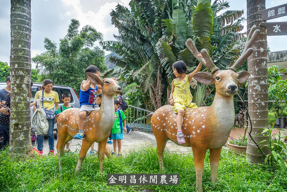 金明昌休閒農場 |2020北台灣親子旅遊推薦，DIY、採果、餵食等多樣玩法，真是太棒啦～