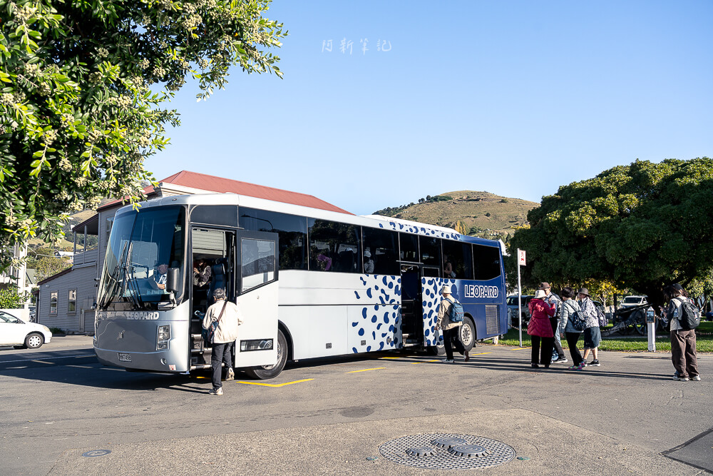 阿卡羅阿,Akaroa,紐西蘭小鎮,Akaroa旅遊,法國小鎮