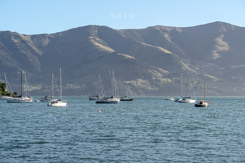 阿卡羅阿,Akaroa,紐西蘭小鎮,Akaroa旅遊,法國小鎮 阿卡羅阿,Akaroa,紐西蘭小鎮,Akaroa旅遊,法國小鎮