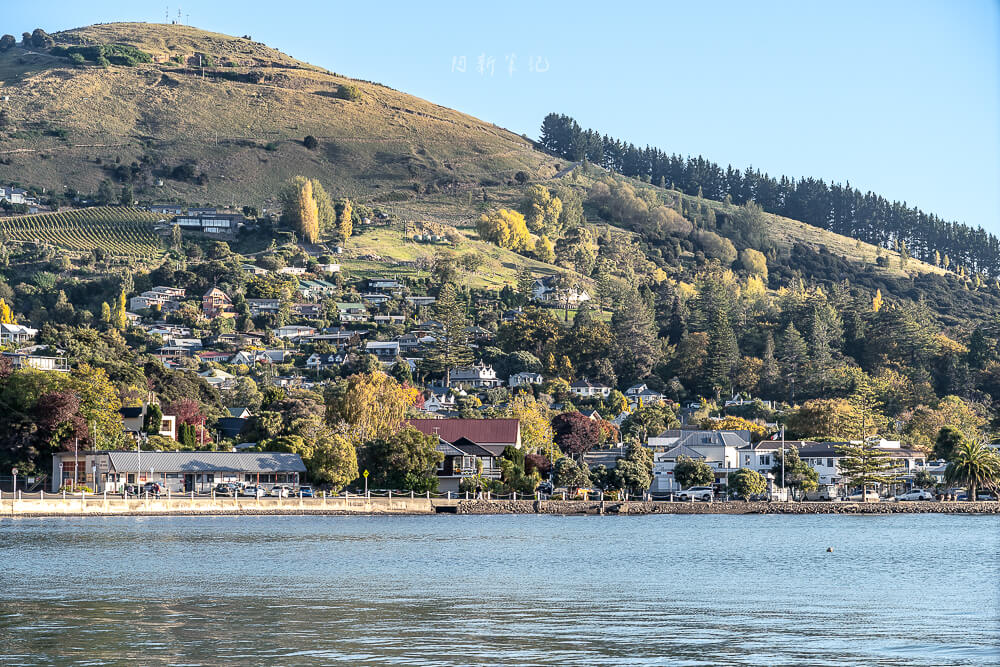 阿卡羅阿,Akaroa,紐西蘭小鎮,Akaroa旅遊,法國小鎮