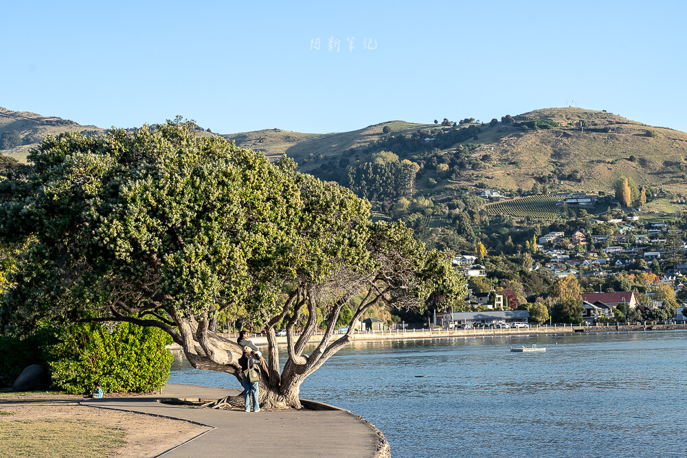 阿卡羅阿,Akaroa,紐西蘭小鎮,Akaroa旅遊,法國小鎮 阿卡羅阿,Akaroa,紐西蘭小鎮,Akaroa旅遊,法國小鎮