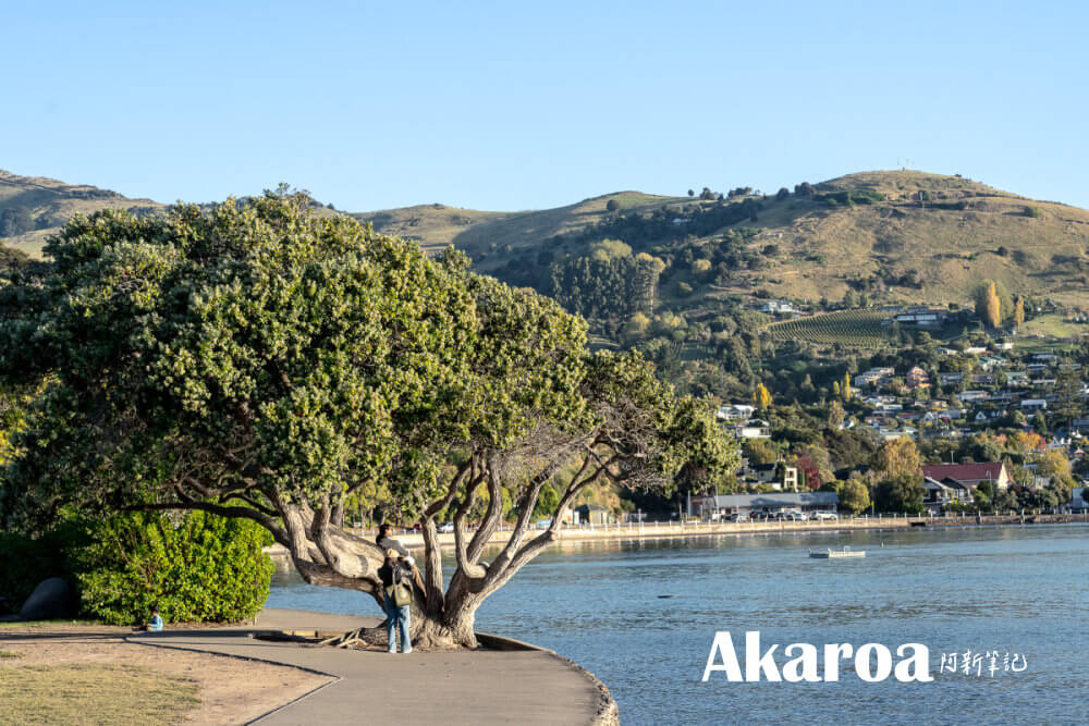 阿卡羅阿,Akaroa,紐西蘭小鎮,Akaroa旅遊,法國小鎮 阿卡羅阿,Akaroa,紐西蘭小鎮,Akaroa旅遊,法國小鎮