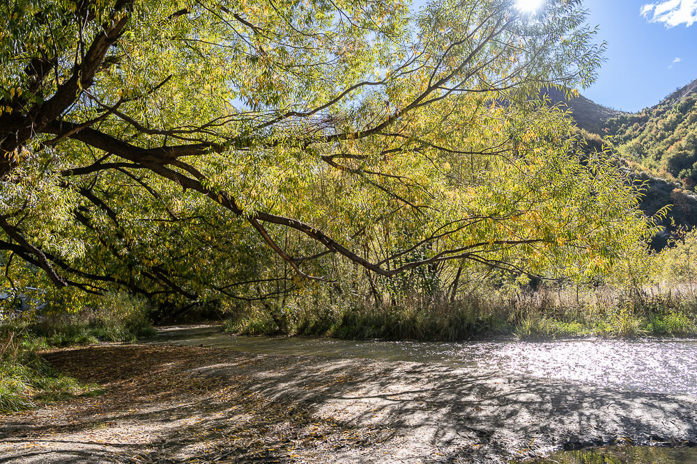 Arrow River,箭河淘金,紐西蘭淘金,箭鎮淘金,皇后鎮景點,箭鎮景點,紐西蘭旅遊 Arrow River,箭河淘金,紐西蘭淘金,箭鎮淘金,皇后鎮景點,箭鎮景點,紐西蘭旅遊