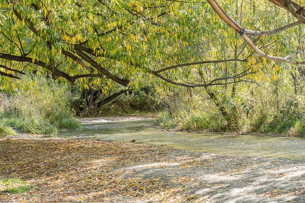 Arrow River,箭河淘金,紐西蘭淘金,箭鎮淘金,皇后鎮景點,箭鎮景點,紐西蘭旅遊