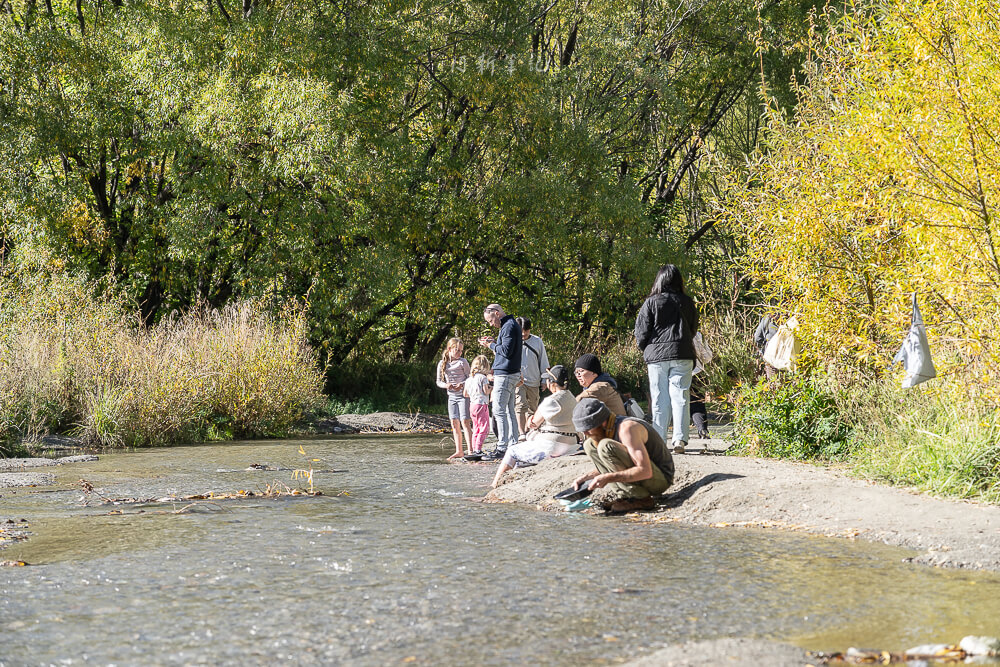 Arrow River,箭河淘金,紐西蘭淘金,箭鎮淘金,皇后鎮景點,箭鎮景點,紐西蘭旅遊