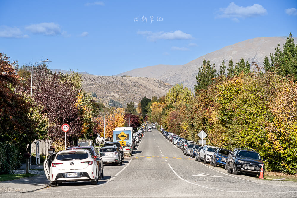 Arrowtown Autumn Festival,金秋節,箭鎮金秋節,紐西蘭箭鎮,紐西蘭景點,皇后鎮旅遊