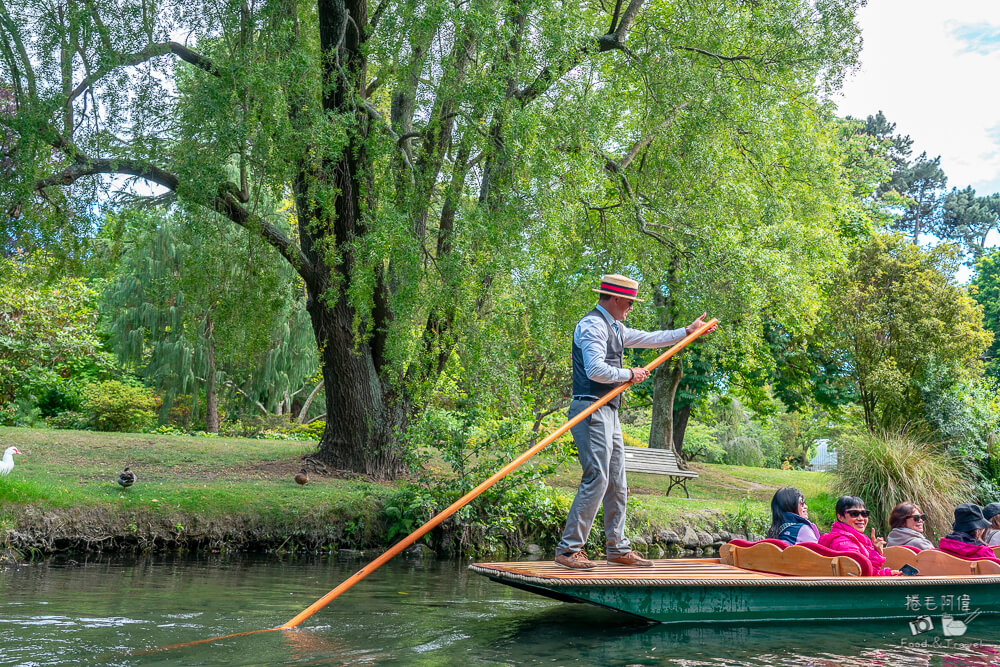 雅芳河撐篙船,Avon River Putting,基督城雅芳河撐篙船,紐西蘭南島,雅芳河泛舟,基督城泛舟,基督城撐篙船,基督城景點,基督城必玩,雅芳河撐篙船交通,雅芳河撐篙船費用