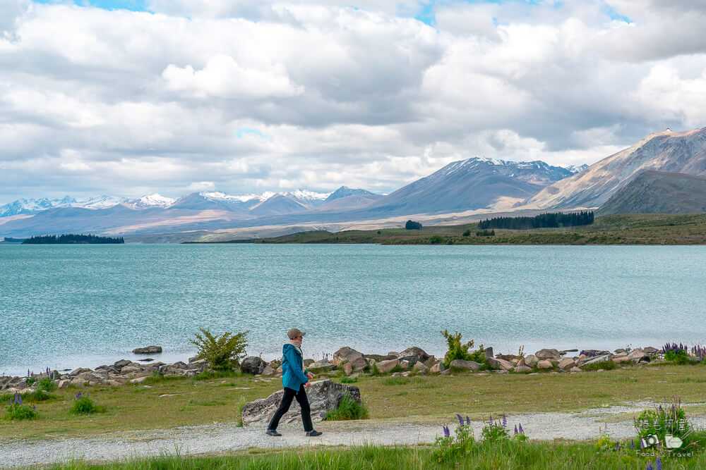 牧羊人教堂,Church of the Good Shepherd,New Zealand,紐西蘭,紐西蘭自由行,紐西蘭南島,紐西蘭景點,紐西蘭南島景點,Tekapo,特卡波,紐西蘭旅遊