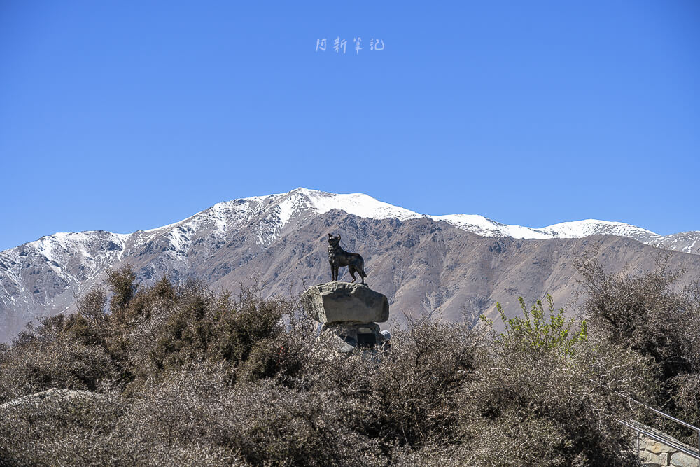 church of the good shepherd,tekapo觀星地點.牧羊人教堂,牧羊人教堂,牧羊人教堂住宿,牧羊人教堂星空,牧羊人教堂晚上,紐西蘭牧羊人教堂
