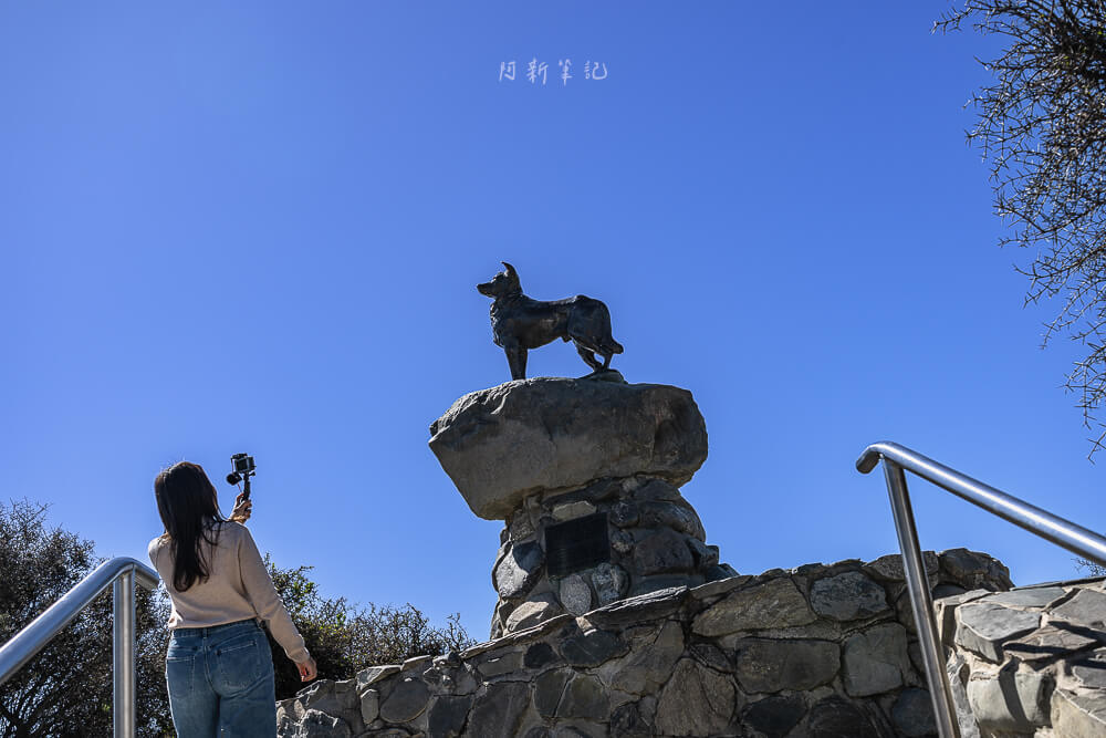church of the good shepherd,tekapo觀星地點.牧羊人教堂,牧羊人教堂,牧羊人教堂住宿,牧羊人教堂星空,牧羊人教堂晚上,紐西蘭牧羊人教堂 church of the good shepherd,tekapo觀星地點.牧羊人教堂,牧羊人教堂,牧羊人教堂住宿,牧羊人教堂星空,牧羊人教堂晚上,紐西蘭牧羊人教堂
