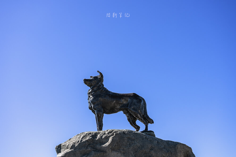 church of the good shepherd,tekapo觀星地點.牧羊人教堂,牧羊人教堂,牧羊人教堂住宿,牧羊人教堂星空,牧羊人教堂晚上,紐西蘭牧羊人教堂 church of the good shepherd,tekapo觀星地點.牧羊人教堂,牧羊人教堂,牧羊人教堂住宿,牧羊人教堂星空,牧羊人教堂晚上,紐西蘭牧羊人教堂
