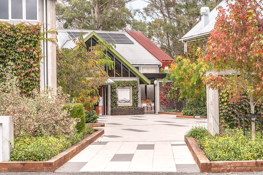 Cloudy Bay Vineyards,紐西蘭酒莊,馬爾堡葡萄酒,Marlborough酒莊,Cloudy Bay,紐西蘭景點