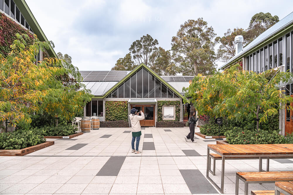 Cloudy Bay Vineyards,紐西蘭酒莊,馬爾堡葡萄酒,Marlborough酒莊,Cloudy Bay,紐西蘭景點
