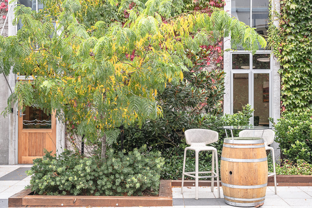 Cloudy Bay Vineyards,紐西蘭酒莊,馬爾堡葡萄酒,Marlborough酒莊,Cloudy Bay,紐西蘭景點