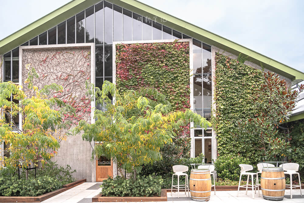 Cloudy Bay Vineyards,紐西蘭酒莊,馬爾堡葡萄酒,Marlborough酒莊,Cloudy Bay,紐西蘭景點