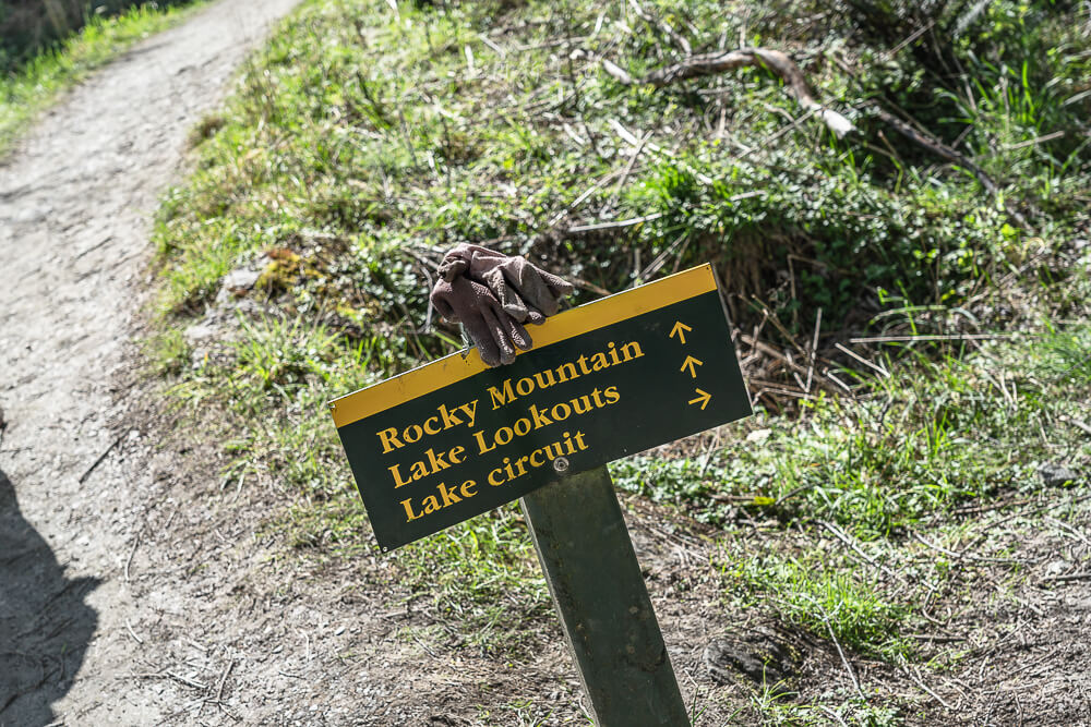 Diamond Lake Track,Diamond Lake and Rocky Mountain walks,Lake Wānaka Lookout Track,Diamond Lake walks,瓦納卡鑽石湖,鑽石湖步道,瓦納卡步道,瓦納卡健行
