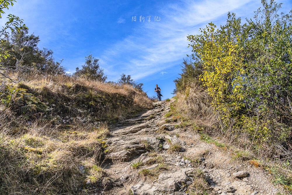 Diamond Lake Track,Diamond Lake and Rocky Mountain walks,Lake Wānaka Lookout Track,Diamond Lake walks,瓦納卡鑽石湖,鑽石湖步道,瓦納卡步道,瓦納卡健行