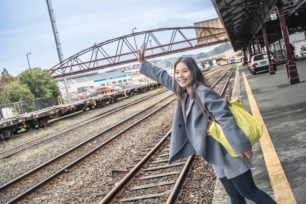 但尼丁車站,但尼丁火車站,Dunedin Railway Station,但尼丁景點