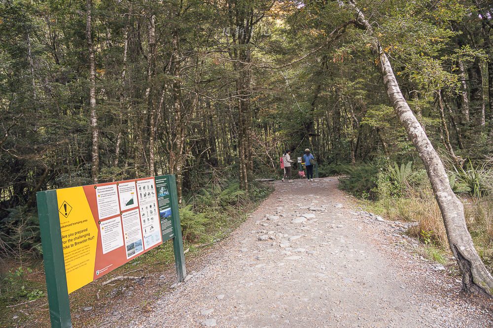 Fantail Falls,紐西蘭Fantail Falls,南島瀑布推薦,紐西蘭瀑布景點,Haast Pass景點,紐西蘭自然景點推薦,紐西蘭自由行景點,南島自駕行程,紐西蘭拍照景點,Fantail Falls步道,紐西蘭親子景點推薦,西岸自駕景點,紐西蘭短步道,Haast瀑布推薦,紐西蘭旅遊打卡景點,南島森林步道,紐西蘭野餐景點,紐西蘭河景步道,Fantail瀑布,紐西蘭旅遊行程推薦