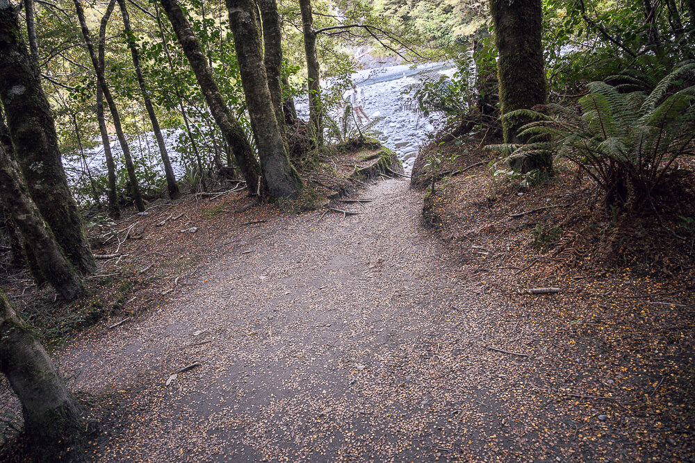 Fantail Falls,紐西蘭Fantail Falls,南島瀑布推薦,紐西蘭瀑布景點,Haast Pass景點,紐西蘭自然景點推薦,紐西蘭自由行景點,南島自駕行程,紐西蘭拍照景點,Fantail Falls步道,紐西蘭親子景點推薦,西岸自駕景點,紐西蘭短步道,Haast瀑布推薦,紐西蘭旅遊打卡景點,南島森林步道,紐西蘭野餐景點,紐西蘭河景步道,Fantail瀑布,紐西蘭旅遊行程推薦