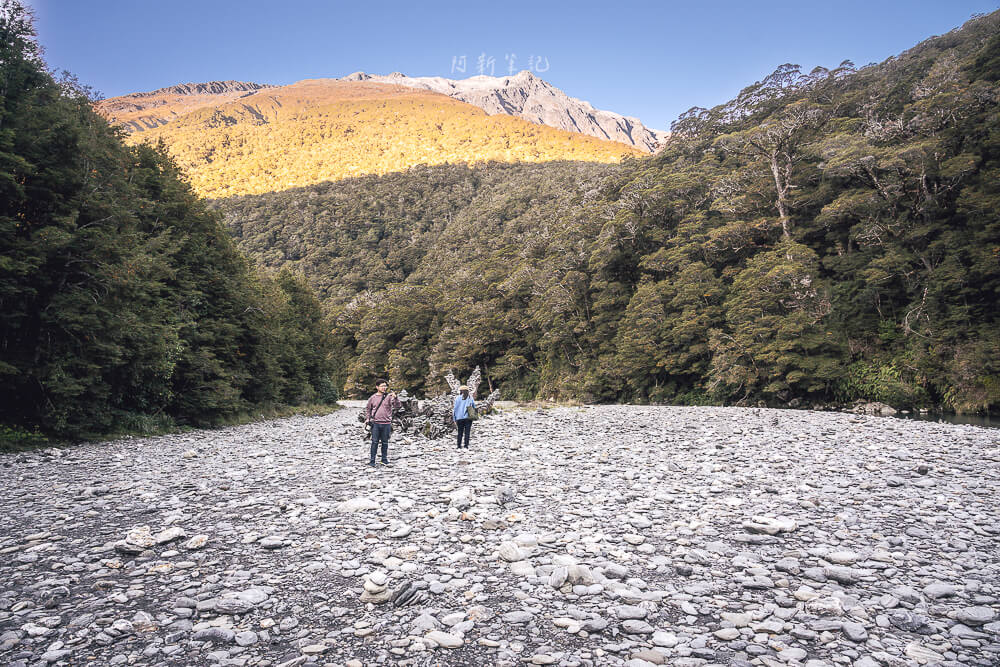 Fantail Falls,紐西蘭Fantail Falls,南島瀑布推薦,紐西蘭瀑布景點,Haast Pass景點,紐西蘭自然景點推薦,紐西蘭自由行景點,南島自駕行程,紐西蘭拍照景點,Fantail Falls步道,紐西蘭親子景點推薦,西岸自駕景點,紐西蘭短步道,Haast瀑布推薦,紐西蘭旅遊打卡景點,南島森林步道,紐西蘭野餐景點,紐西蘭河景步道,Fantail瀑布,紐西蘭旅遊行程推薦