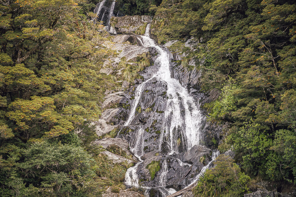 Fantail Falls,紐西蘭Fantail Falls,南島瀑布推薦,紐西蘭瀑布景點,Haast Pass景點,紐西蘭自然景點推薦,紐西蘭自由行景點,南島自駕行程,紐西蘭拍照景點,Fantail Falls步道,紐西蘭親子景點推薦,西岸自駕景點,紐西蘭短步道,Haast瀑布推薦,紐西蘭旅遊打卡景點,南島森林步道,紐西蘭野餐景點,紐西蘭河景步道,Fantail瀑布,紐西蘭旅遊行程推薦