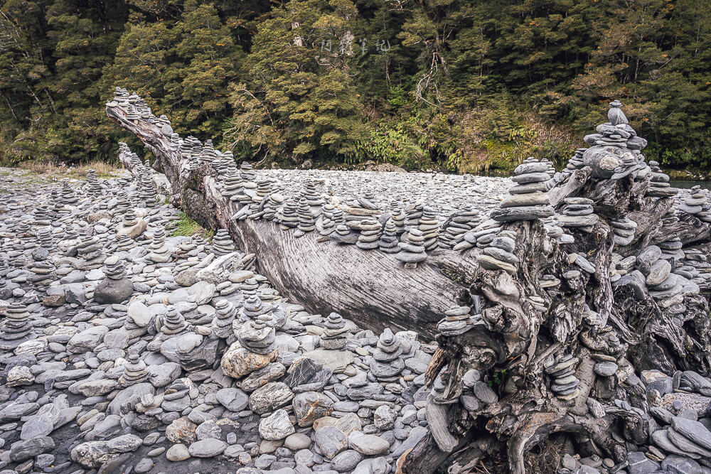 Fantail Falls,紐西蘭Fantail Falls,南島瀑布推薦,紐西蘭瀑布景點,Haast Pass景點,紐西蘭自然景點推薦,紐西蘭自由行景點,南島自駕行程,紐西蘭拍照景點,Fantail Falls步道,紐西蘭親子景點推薦,西岸自駕景點,紐西蘭短步道,Haast瀑布推薦,紐西蘭旅遊打卡景點,南島森林步道,紐西蘭野餐景點,紐西蘭河景步道,Fantail瀑布,紐西蘭旅遊行程推薦