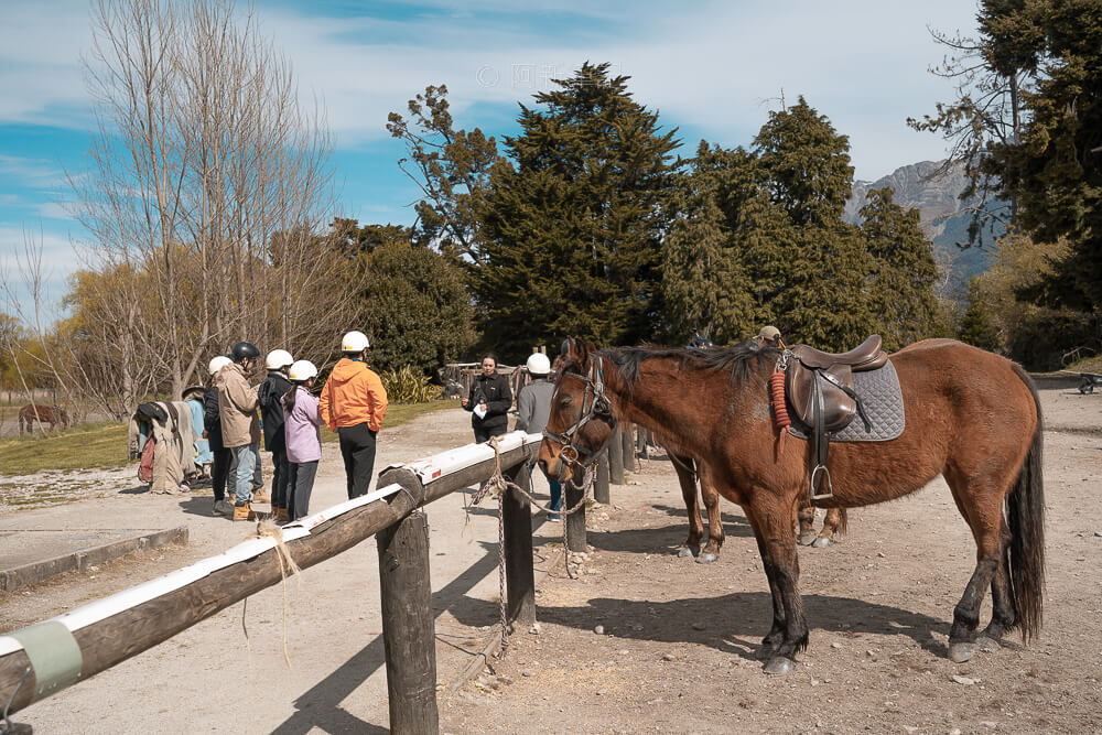 格林諾奇魔戒騎馬,High Country Horses,格林諾奇騎馬,魔戒騎馬,紐西蘭騎馬