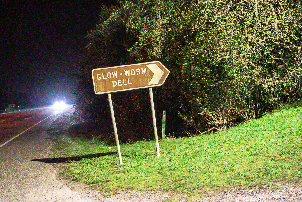 Glow Worm Dell,Hokitika Glow Worm Dell,霍基蒂卡螢火蟲,Hokitika景點推薦,紐西蘭螢火蟲景點,紐西蘭免費螢火蟲,紐西蘭夜間景點,紐西蘭親子景點,紐西蘭自由行景點,紐西蘭自然體驗,紐西蘭看螢火蟲,Hokitika夜間活動,西岸自由行推薦,紐西蘭西岸景點,螢火蟲小徑,Glow Worm Dell拍照,紐西蘭打卡景點,紐西蘭生態旅遊,紐西蘭夜間散步,Glow Worm Walk