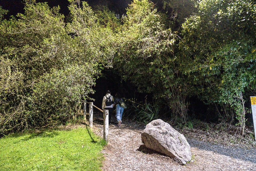 Glow Worm Dell,Hokitika Glow Worm Dell,霍基蒂卡螢火蟲,Hokitika景點推薦,紐西蘭螢火蟲景點,紐西蘭免費螢火蟲,紐西蘭夜間景點,紐西蘭親子景點,紐西蘭自由行景點,紐西蘭自然體驗,紐西蘭看螢火蟲,Hokitika夜間活動,西岸自由行推薦,紐西蘭西岸景點,螢火蟲小徑,Glow Worm Dell拍照,紐西蘭打卡景點,紐西蘭生態旅遊,紐西蘭夜間散步,Glow Worm Walk