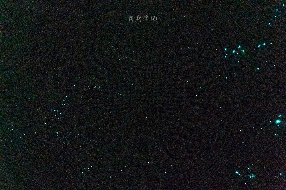 Glow Worm Dell,Hokitika Glow Worm Dell,霍基蒂卡螢火蟲,Hokitika景點推薦,紐西蘭螢火蟲景點,紐西蘭免費螢火蟲,紐西蘭夜間景點,紐西蘭親子景點,紐西蘭自由行景點,紐西蘭自然體驗,紐西蘭看螢火蟲,Hokitika夜間活動,西岸自由行推薦,紐西蘭西岸景點,螢火蟲小徑,Glow Worm Dell拍照,紐西蘭打卡景點,紐西蘭生態旅遊,紐西蘭夜間散步,Glow Worm Walk