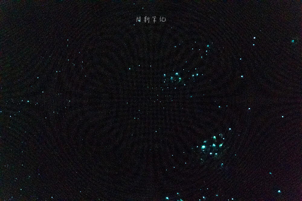 Glow Worm Dell,Hokitika Glow Worm Dell,霍基蒂卡螢火蟲,Hokitika景點推薦,紐西蘭螢火蟲景點,紐西蘭免費螢火蟲,紐西蘭夜間景點,紐西蘭親子景點,紐西蘭自由行景點,紐西蘭自然體驗,紐西蘭看螢火蟲,Hokitika夜間活動,西岸自由行推薦,紐西蘭西岸景點,螢火蟲小徑,Glow Worm Dell拍照,紐西蘭打卡景點,紐西蘭生態旅遊,紐西蘭夜間散步,Glow Worm Walk