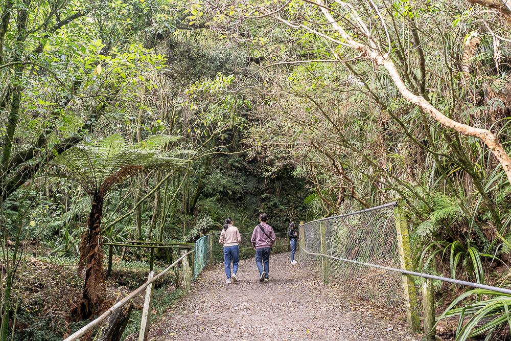 Glow Worm Dell,Hokitika Glow Worm Dell,霍基蒂卡螢火蟲,Hokitika景點推薦,紐西蘭螢火蟲景點,紐西蘭免費螢火蟲,紐西蘭夜間景點,紐西蘭親子景點,紐西蘭自由行景點,紐西蘭自然體驗,紐西蘭看螢火蟲,Hokitika夜間活動,西岸自由行推薦,紐西蘭西岸景點,螢火蟲小徑,Glow Worm Dell拍照,紐西蘭打卡景點,紐西蘭生態旅遊,紐西蘭夜間散步,Glow Worm Walk