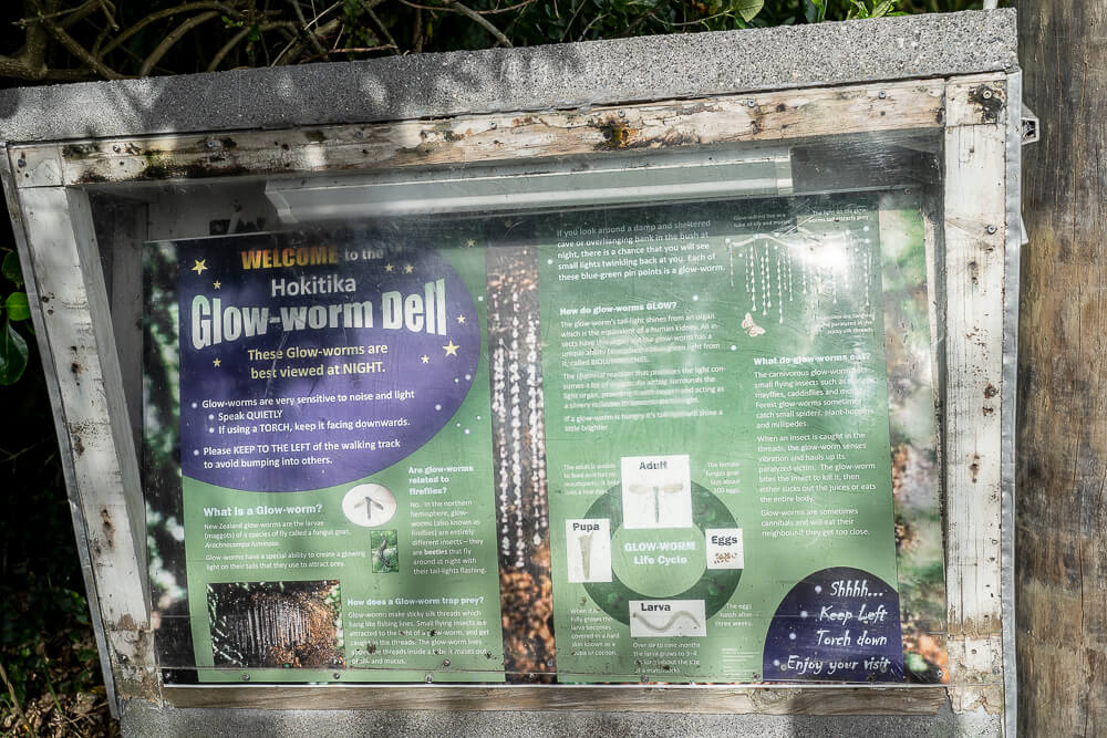 Glow Worm Dell,Hokitika Glow Worm Dell,霍基蒂卡螢火蟲,Hokitika景點推薦,紐西蘭螢火蟲景點,紐西蘭免費螢火蟲,紐西蘭夜間景點,紐西蘭親子景點,紐西蘭自由行景點,紐西蘭自然體驗,紐西蘭看螢火蟲,Hokitika夜間活動,西岸自由行推薦,紐西蘭西岸景點,螢火蟲小徑,Glow Worm Dell拍照,紐西蘭打卡景點,紐西蘭生態旅遊,紐西蘭夜間散步,Glow Worm Walk