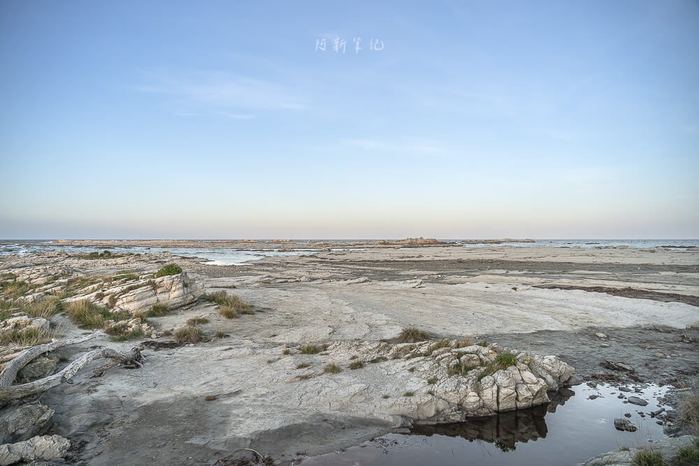 Kaikoura Seal Colony,凱庫拉海豹,Kaikoura野生動物,Kaikoura景點,凱庫拉自由行,紐西蘭海豹景點,紐西蘭野生動物,紐西蘭自然景點,Kaikoura必訪景點,紐西蘭親子旅遊,凱庫拉行程推薦,紐西蘭海岸風景,Kaikoura Coastal Walk,凱庫拉自駕景點,紐西蘭生態旅遊,Kaikoura景點推薦,紐西蘭自由行行程,紐西蘭動物景點,凱庫拉拍照景點
