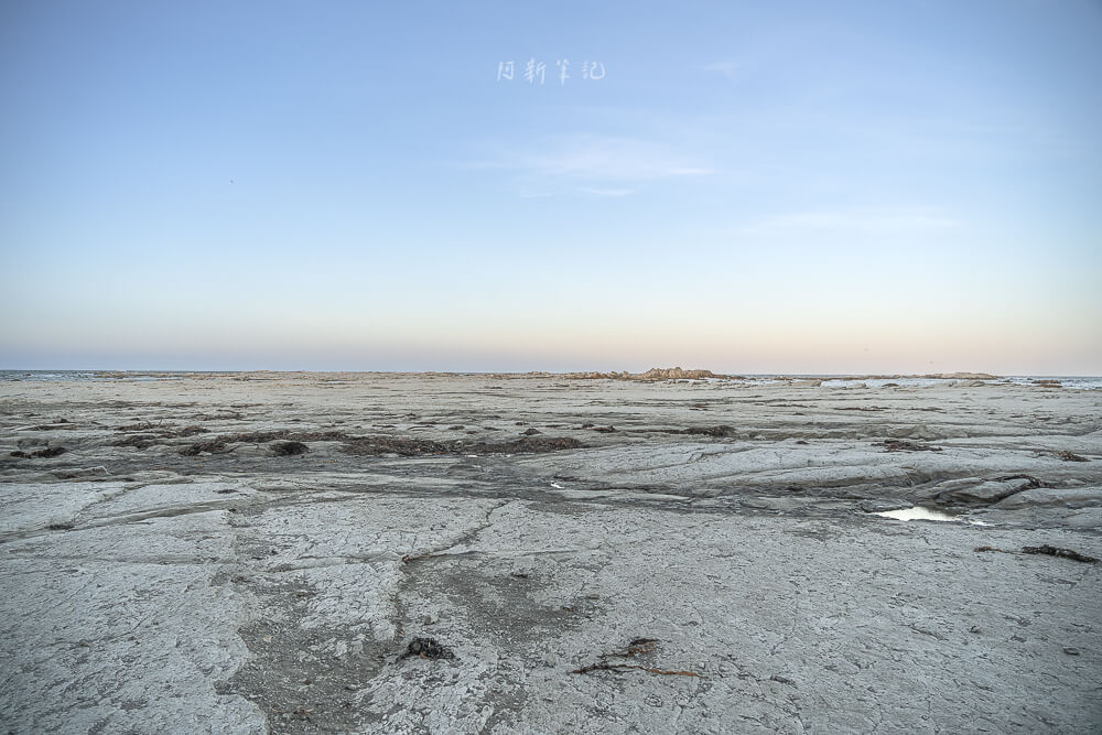 Kaikoura Seal Colony,凱庫拉海豹,Kaikoura野生動物,Kaikoura景點,凱庫拉自由行,紐西蘭海豹景點,紐西蘭野生動物,紐西蘭自然景點,Kaikoura必訪景點,紐西蘭親子旅遊,凱庫拉行程推薦,紐西蘭海岸風景,Kaikoura Coastal Walk,凱庫拉自駕景點,紐西蘭生態旅遊,Kaikoura景點推薦,紐西蘭自由行行程,紐西蘭動物景點,凱庫拉拍照景點