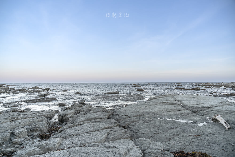 Kaikoura Seal Colony,凱庫拉海豹,Kaikoura野生動物,Kaikoura景點,凱庫拉自由行,紐西蘭海豹景點,紐西蘭野生動物,紐西蘭自然景點,Kaikoura必訪景點,紐西蘭親子旅遊,凱庫拉行程推薦,紐西蘭海岸風景,Kaikoura Coastal Walk,凱庫拉自駕景點,紐西蘭生態旅遊,Kaikoura景點推薦,紐西蘭自由行行程,紐西蘭動物景點,凱庫拉拍照景點