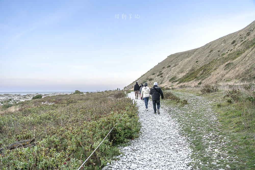 Kaikoura Seal Colony,凱庫拉海豹,Kaikoura野生動物,Kaikoura景點,凱庫拉自由行,紐西蘭海豹景點,紐西蘭野生動物,紐西蘭自然景點,Kaikoura必訪景點,紐西蘭親子旅遊,凱庫拉行程推薦,紐西蘭海岸風景,Kaikoura Coastal Walk,凱庫拉自駕景點,紐西蘭生態旅遊,Kaikoura景點推薦,紐西蘭自由行行程,紐西蘭動物景點,凱庫拉拍照景點
