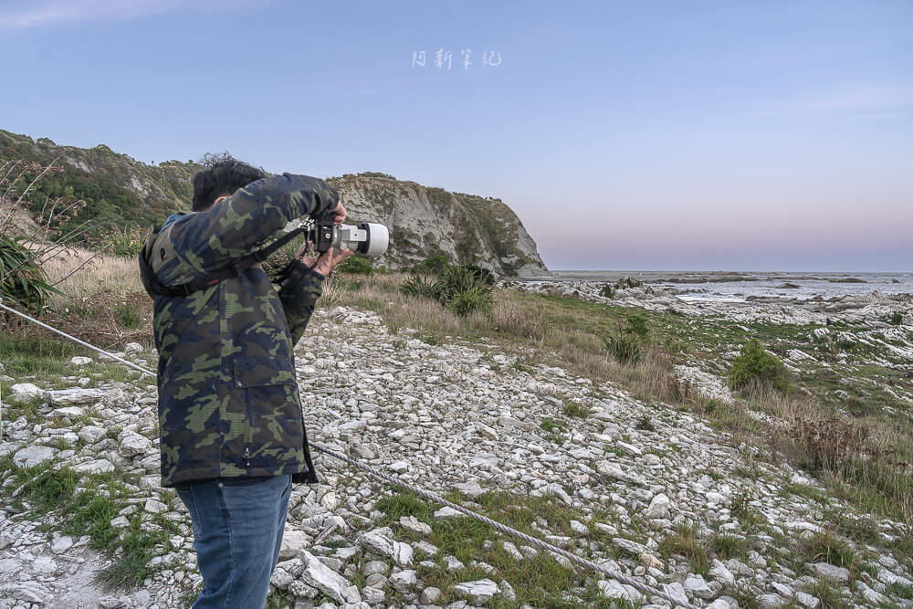 Kaikoura Seal Colony,凱庫拉海豹,Kaikoura野生動物,Kaikoura景點,凱庫拉自由行,紐西蘭海豹景點,紐西蘭野生動物,紐西蘭自然景點,Kaikoura必訪景點,紐西蘭親子旅遊,凱庫拉行程推薦,紐西蘭海岸風景,Kaikoura Coastal Walk,凱庫拉自駕景點,紐西蘭生態旅遊,Kaikoura景點推薦,紐西蘭自由行行程,紐西蘭動物景點,凱庫拉拍照景點