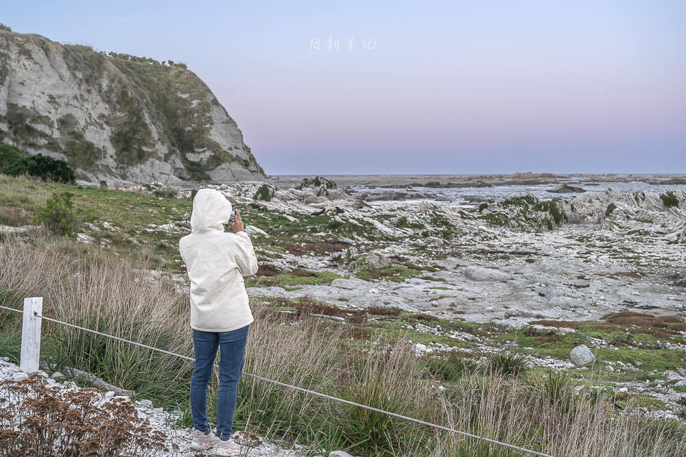 Kaikoura Seal Colony,凱庫拉海豹,Kaikoura野生動物,Kaikoura景點,凱庫拉自由行,紐西蘭海豹景點,紐西蘭野生動物,紐西蘭自然景點,Kaikoura必訪景點,紐西蘭親子旅遊,凱庫拉行程推薦,紐西蘭海岸風景,Kaikoura Coastal Walk,凱庫拉自駕景點,紐西蘭生態旅遊,Kaikoura景點推薦,紐西蘭自由行行程,紐西蘭動物景點,凱庫拉拍照景點