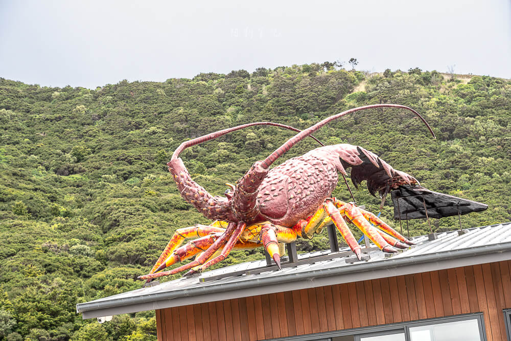 Karaka Lobster,凱庫拉龍蝦,Kaikoura龍蝦,凱庫拉海鮮,紐西蘭龍蝦餐廳,紐西蘭海鮮推薦,凱庫拉美食推薦,Kaikoura美食,紐西蘭必吃海鮮,凱庫拉自由行美食,Kaikoura Lobster,紐西蘭龍蝦小屋,紐西蘭南島美食,紐西蘭沿海餐廳,海邊吃龍蝦,凱庫拉必吃,凱庫拉自駕美食,紐西蘭公路美食,海鮮控必吃,Kaikoura roadside lobster