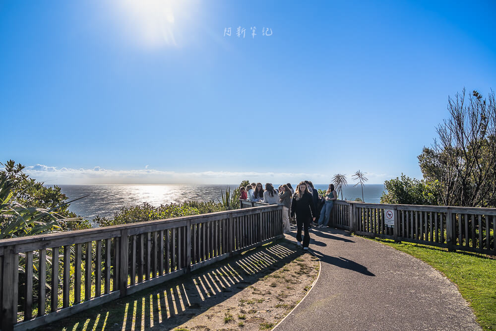 武士角觀景台,Knight Point Lookout,紐西蘭Knight Point,南島觀景台推薦,紐西蘭海景景點,紐西蘭西岸景點,南島自駕行程,紐西蘭自由行景點,紐西蘭拍照景點,紐西蘭打卡景點,西岸自駕休息站,紐西蘭沿海觀景點,南島看海推薦,紐西蘭公路旅行,紐西蘭自然景點,紐西蘭旅遊路線推薦,Knight Point拍照,紐西蘭自駕中繼站,南島景點推薦,西岸秘境景點,紐西蘭風景區