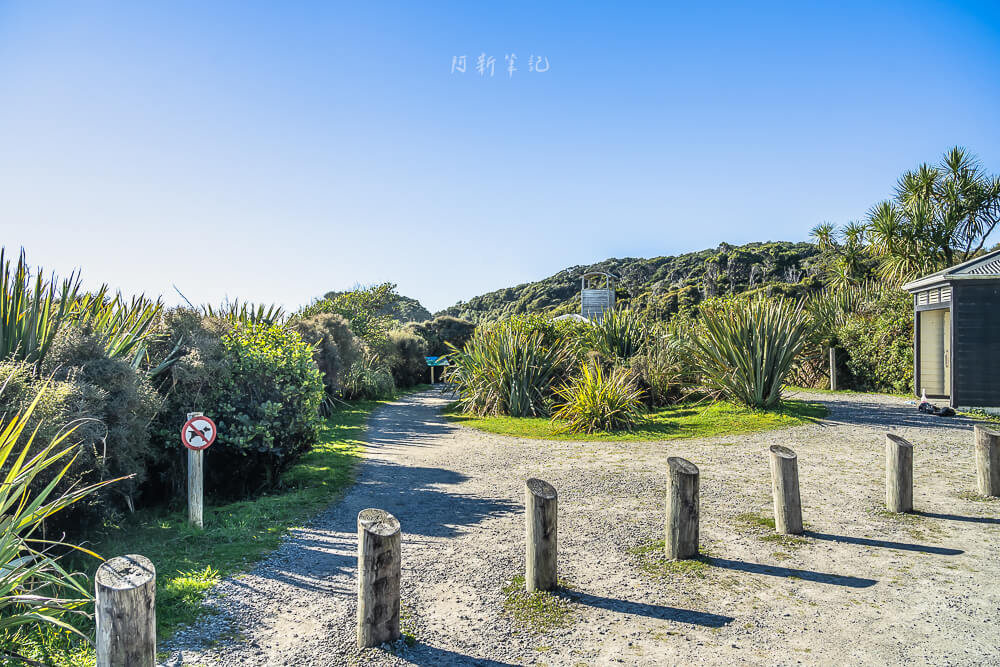 船溪,Ship Creek,紐西蘭Ship Creek,南島西岸景點,紐西蘭自然景點推薦,紐西蘭濕地步道,Ship Creek Walk,Ship Creek Lookout,Ship Creek海灘,紐西蘭沿海自駕,南島自駕行程,西岸秘境景點,紐西蘭拍照景點,紐西蘭自由行景點推薦,Ship Creek觀鳥,紐西蘭野鳥觀察,Ship Creek停車場,Haast沿途景點,紐西蘭短步道推薦,紐西蘭自然風光,紐西蘭森林步道