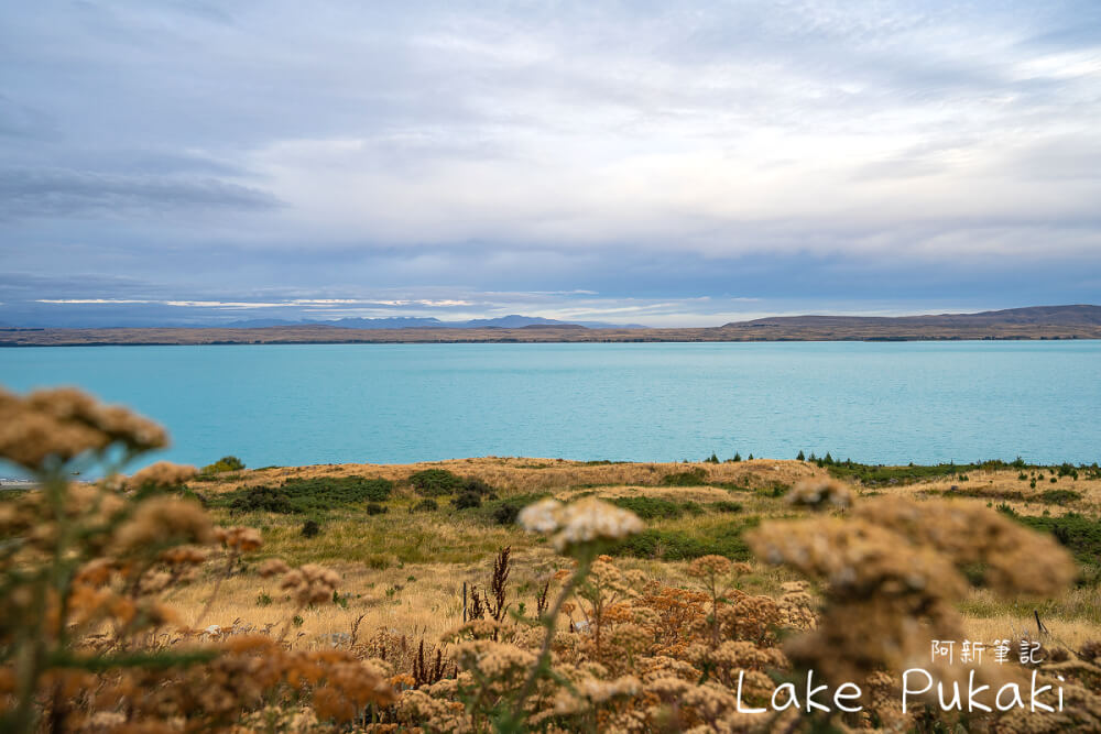 普卡基湖 Lake Pukaki |紐西蘭藍色牛奶湖，絕美景點好好拍。