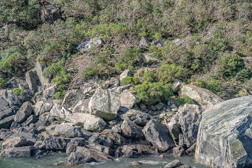 米佛峽灣過夜船,Milford Sound 過夜船,Milford Sound,milford sound overnight cruise,milford sound overnight 米佛峽灣過夜船,Milford Sound 過夜船,Milford Sound,milford sound overnight cruise,milford sound overnight