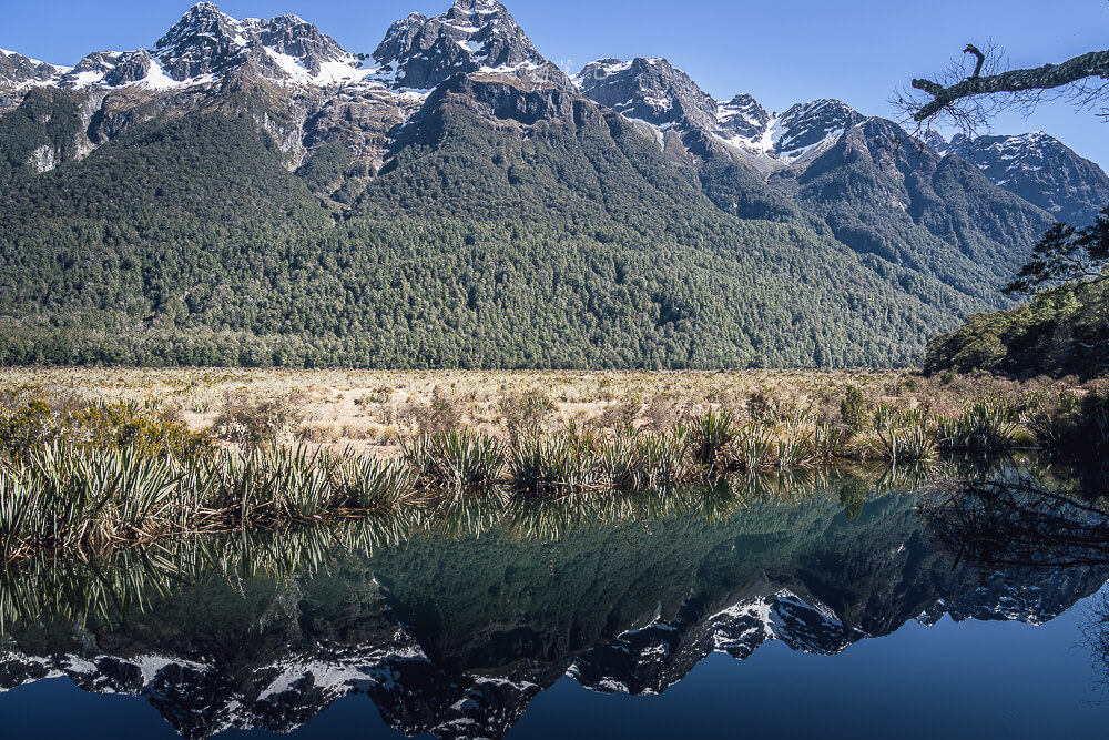 Mirror Lakes Walk,Mirror Lakes,鏡湖,蒂阿瑙景點 Mirror Lakes Walk,Mirror Lakes,鏡湖,蒂阿瑙景點