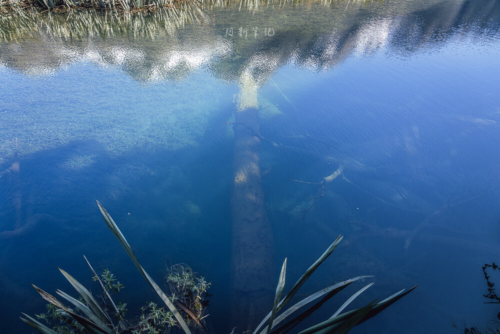 Mirror Lakes Walk,Mirror Lakes,鏡湖,蒂阿瑙景點 Mirror Lakes Walk,Mirror Lakes,鏡湖,蒂阿瑙景點